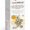 Aprolis Yemoprolis Familiar Gold Syrup 500ml - Intersa